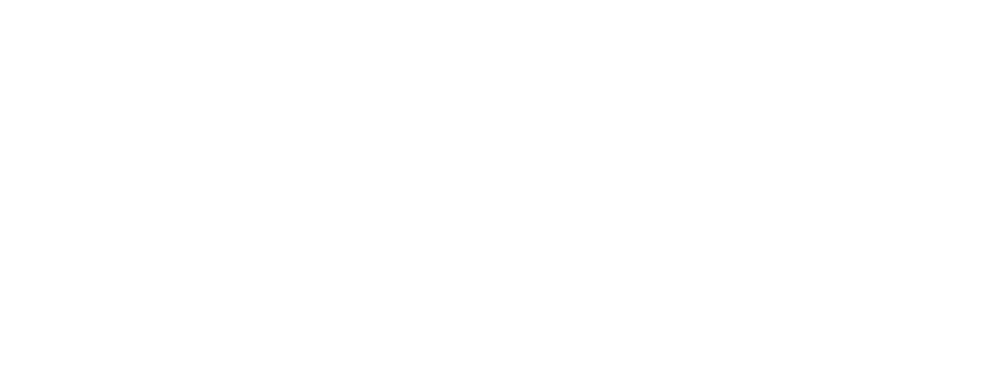 Team Mangofit